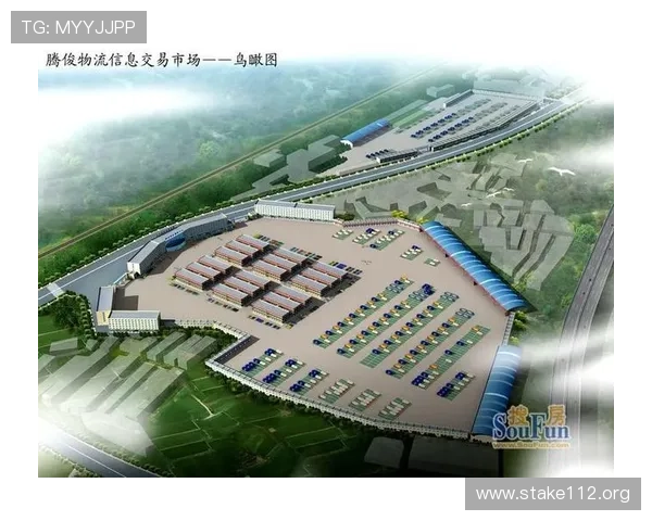 全面解析万达国际物流的发展现状与未来前景